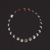 Stormborn_Mystery Jets