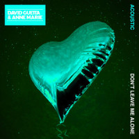 Don't Leave Me Alone_David Guetta,Anne-Marie