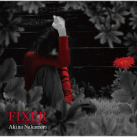 FIXER -WHILE THE WOMEN ARE SLEEPING-_中森明菜