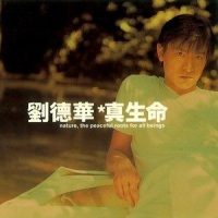 甘心_刘德华