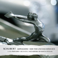 Sonata in A Major, D. 821 "L'Arpeggione": Allegro moderato (Arr. for Soloist and Orchestra)_Luigi Piovano,Archi dell'Accademia di Santa Cecilia,Franz Schubert