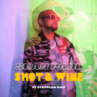 Shot & Wine_Sean Paul,Stefflon Don