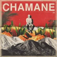 차선생님_Chamane,OLNL