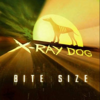 Elimination Game (Edit)_X-Ray Dog