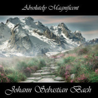 Brandenburg Concerto No- 3 in G Major, B W V 1048 I- Allegro_Johann Sebastian Bach