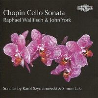 III. Largo (第三乐章 广板)_Raphael Wallfisch,John York