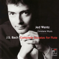 Sonata in G minor BWV 1020: Allegro_Jed Wentz,Johann Sebastian Bach,Christiane Wuyts