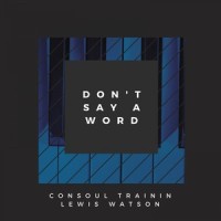Don't Say a Word_Consoul Trainin,Lewis Watson