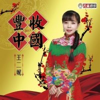 丰收中国_王二妮