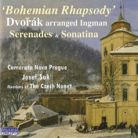 V. Finale: Allegro vivace_Josef Suk,Frantisek Kuda,members Czech Nonet,Camerata Nova Prague