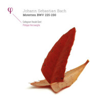 Jesu, meine Freude, BWV 227: IX. Choral "Gute Nacht, o Wesen"_Collegium Vocale Gent,Philippe Herreweghe,Dorothee Mields,Damien Guillon,Thomas Hobbs,Peter Kooij,Zsuzsi Tóth,Johann Sebastian Bach,Anonymous