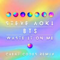 Waste It On Me_Steve Aoki,BTS