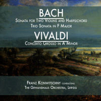Sonata for Two Violins and Harpsichord in C Major, BWV 1037: II. Allabreve_David Oistrakh,Igor Oistrakh,Hans Pischner