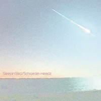Sleepin' Bird_Schroeder-Headz,Shing02