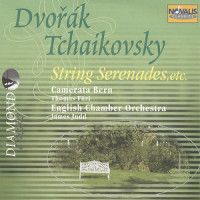 Scherzo Vivace (谐谑曲)_English Chamber Orchestra,Antonín Dvořák