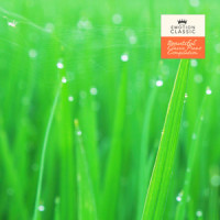 Boccherini: Minuetto (Nature Ver.)_Classical Artists