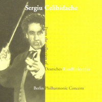 I. Allegro con brio_Berliner Philharmoniker,Sergiu Celibidache