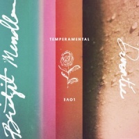 Temperamental Love_Bridgit Mendler,Devontee
