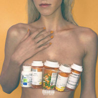 double_blackbear