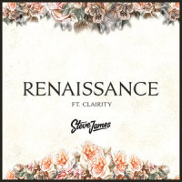 Renaissance_Steve James,Clairity