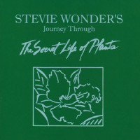 Kesse Ye Lolo De Ye_Stevie Wonder