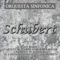 Serenata D 957_Orquesta sinfónica,Franz Schubert
