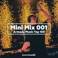 On Our Own (feat. Natalie Major)_Showtek,Brooks,Natalie Major