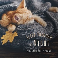 The Beat of My Beauty Sleep_Relax α Wave