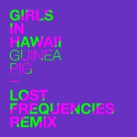Guinea Pig_Girls In Hawaii,Lost Frequencies