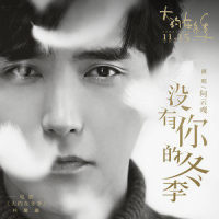 没有你的冬季_阿云嘎