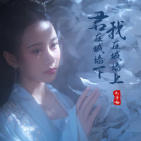 君在城墙下,我在城墙上_丸子呦
