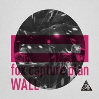 this wall_fox capture plan