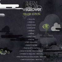 Always On Your Side_Sheryl Crow,Sting