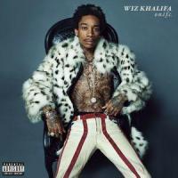 Medicated(feat. Chevy Woods & Juicy J)_Wiz Khalifa,Chevy Woods,Juciy J