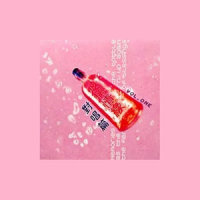 流浪狗_范晓萱,李泉