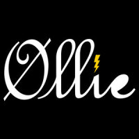 Timber (Øllie Mashup)_Ollie,Pitbull,Kesha,JavierMartinez