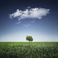 Tranquil Harmony_Relaxing Mindfulness Meditation Relaxation Maestro,Spa,Avslappning Sound