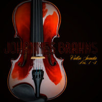III. Un poco presto e con sentimento (第三乐章 稍稍加快的多愁善感地急板)_Igor Oistrakh,Johannes Brahms