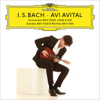 J.S. Bach: Sonata for Flute or Violin No.5 in E Minor, BWV 1034 - II. Allegro (Transcr. for Mandolin and Continuo by Avi Avital)_Avi Avital,Ophira Zakai,Ira Givol,Shalev Ad-El