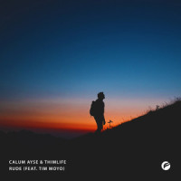 Rude (feat. Tim Moyo)_Lost Diaries,Tim Moyo