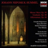 Mass, Op. 80: I. Kyrie_Orchester der Wiener Akademie,Czech Philharmonic Choir,Amanda Halgrimson,Susan McAdoo,Helmut Wildhaber,Peter Mikulas,Martin Haselböck