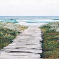 Sedated_Sound Sleeping,Binaural Beats Sleep,Spa