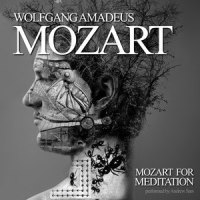 Concerto No.1 in F major - I. Allegro_Wolfgang Amadeus Mozart