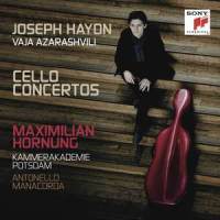 III. Allegro_Maximilian Hornung,Joseph Haydn