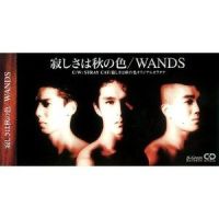 STRAY CAT_WANDS