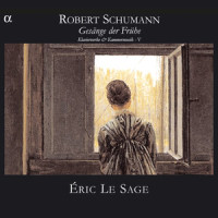Sonate pour piano in G Minor, Op. 22: IV. Rondo, presto_Eric Le Sage,Robert Schumann