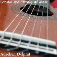 Sonata No. 2 in A Minor, BWV 1003: III. Andante_Aurélien Delprat,Johann Sebastian Bach