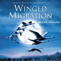 The Swans Flight_Bruno Coulais