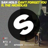 Can't Forget You_San Holo,The Nicholas