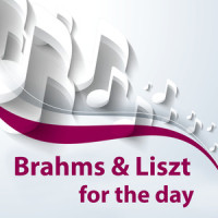 Brahms: Symphony No.3 in F, Op.90 - 3. Poco allegretto (Snippet)_Berliner Philharmoniker,Herbert von Karajan